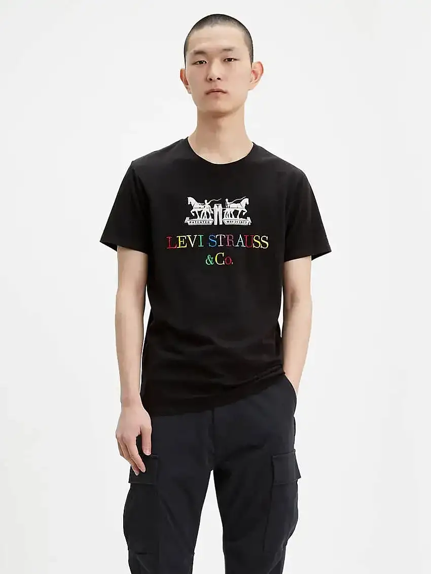 2-Horse Graphic Tee