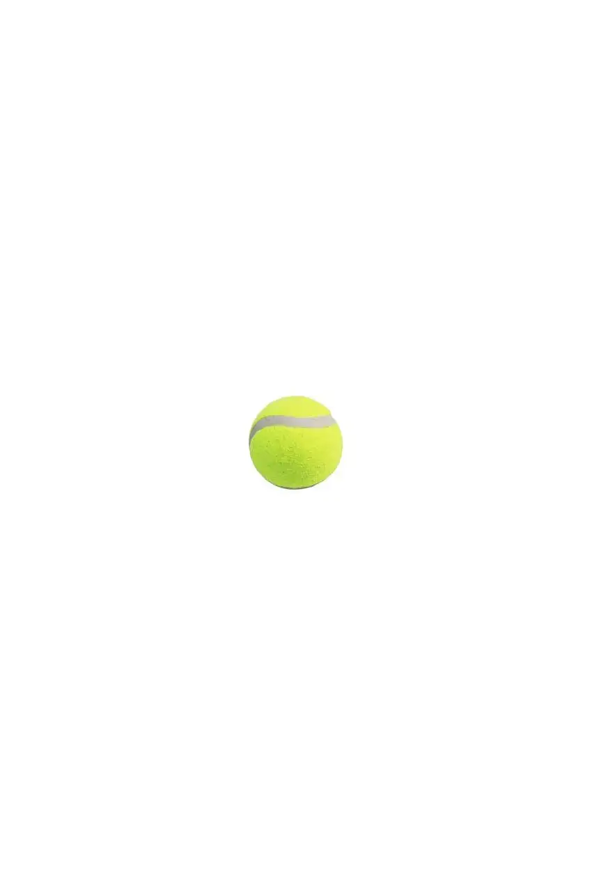 Complementos deporte accesoorios tenis joluvi pelotas tenis amarillo 211.a