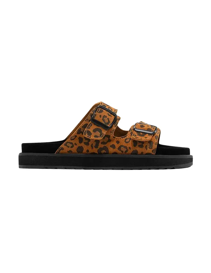 Sandalia D.Franklin Nordic Buckle Leopard