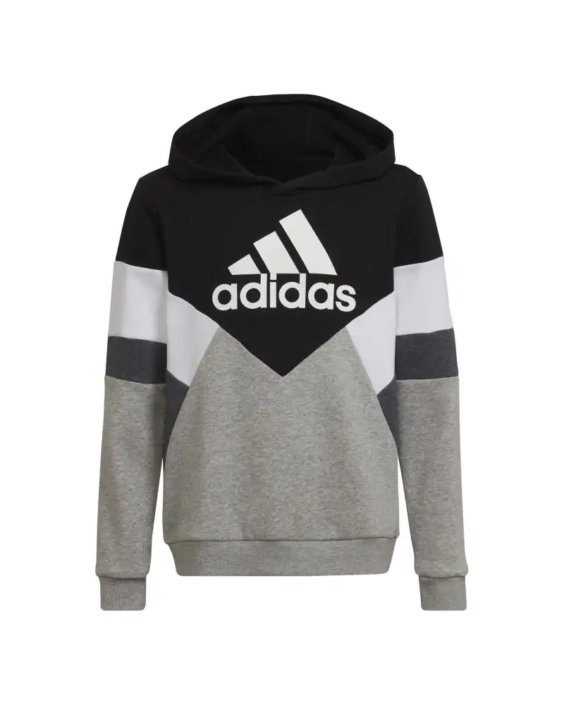 0SUDADERA CAPUCHA B CB FL