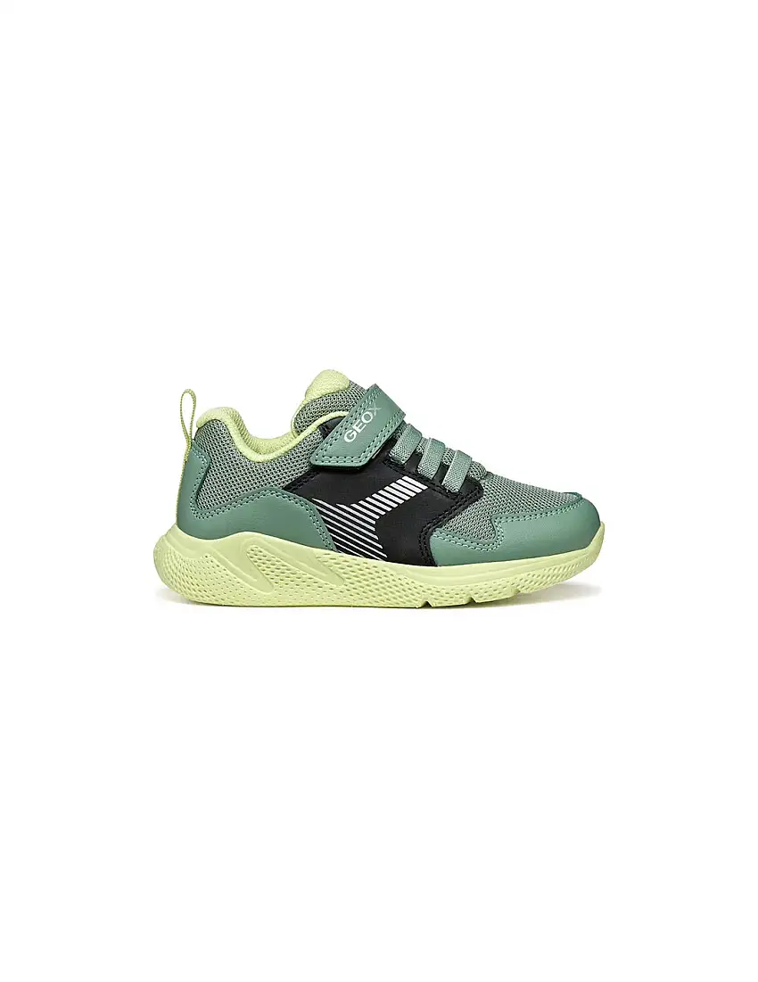 Zapatilla GEOX Sprintye Verde