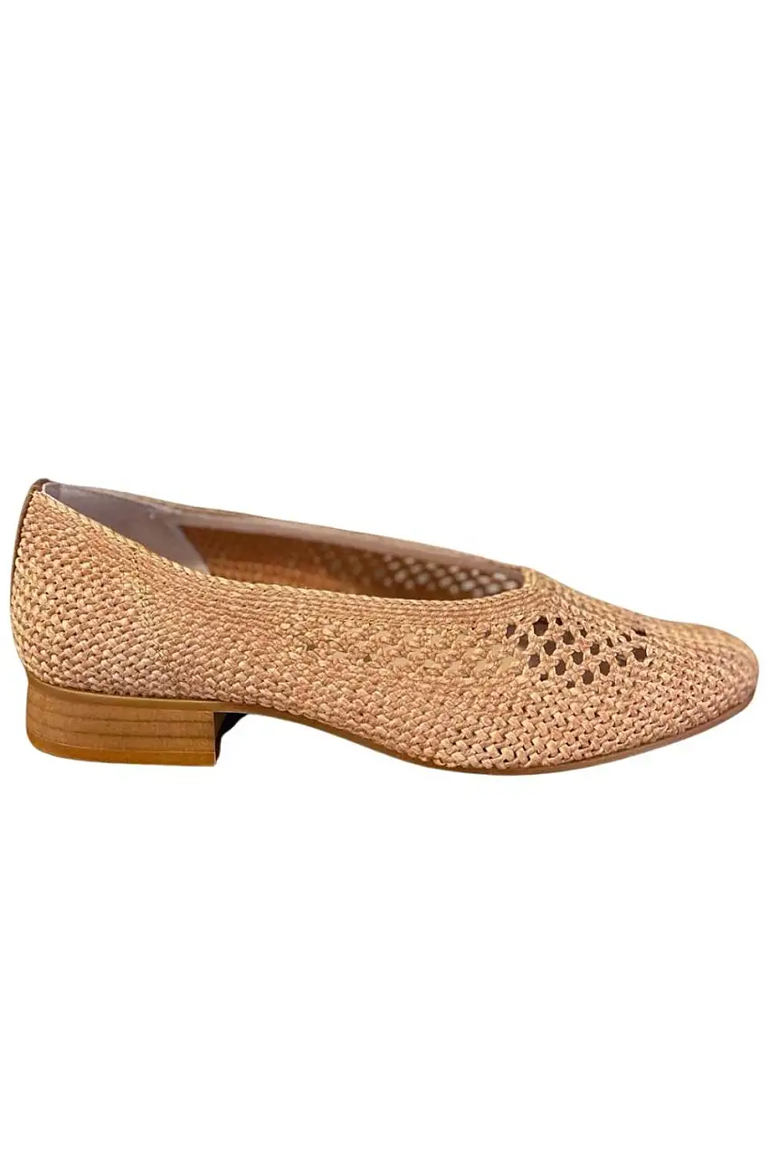 zapato de salón sarca varios 1733