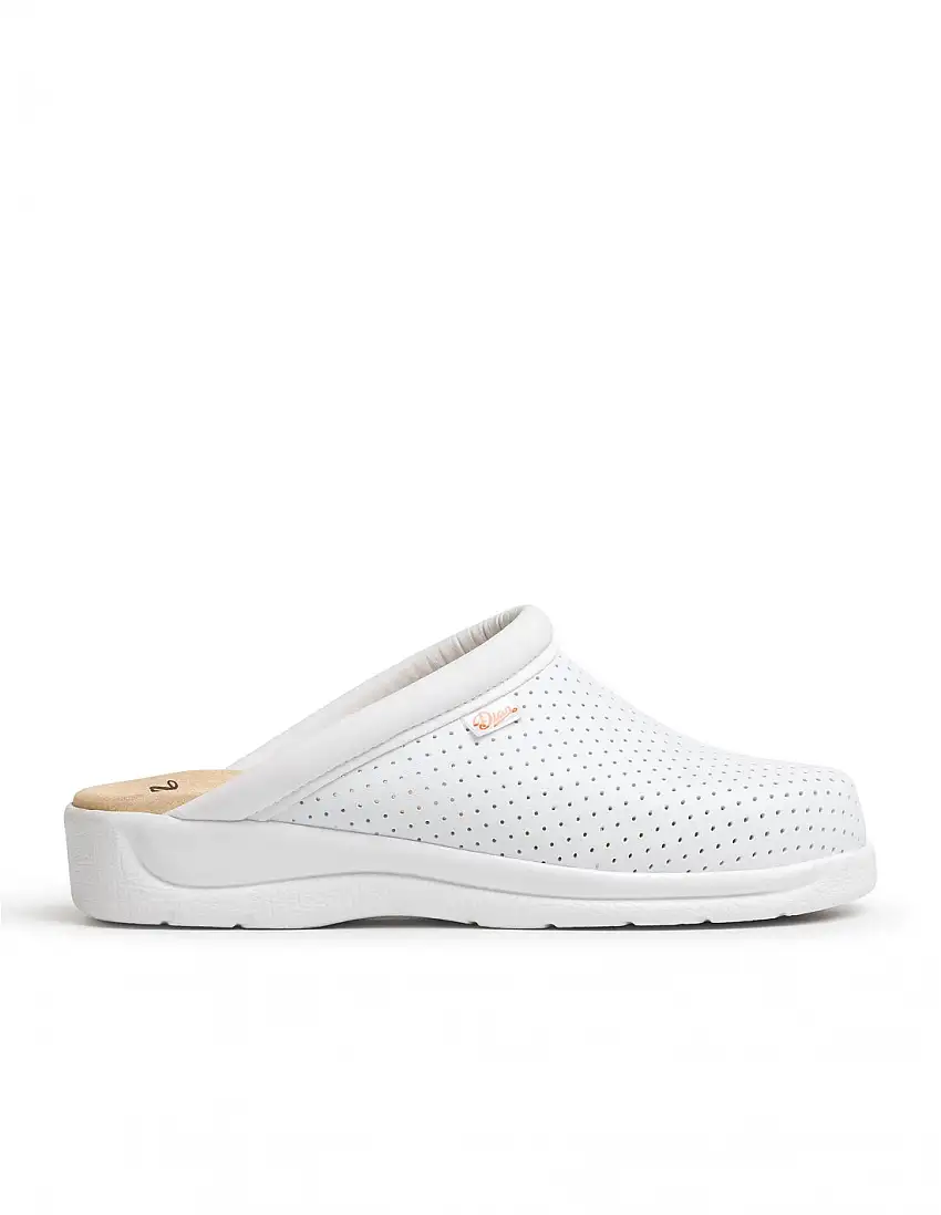 Zuecos Sanitarios Blancos DIAN