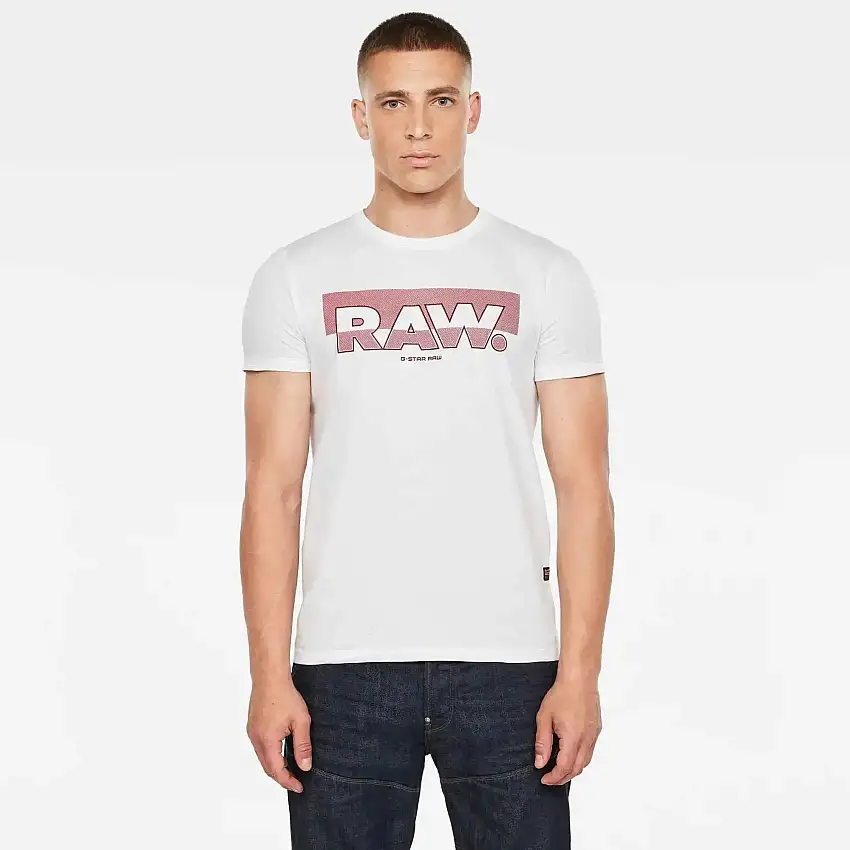 Camiseta RAW. Graphic Slim