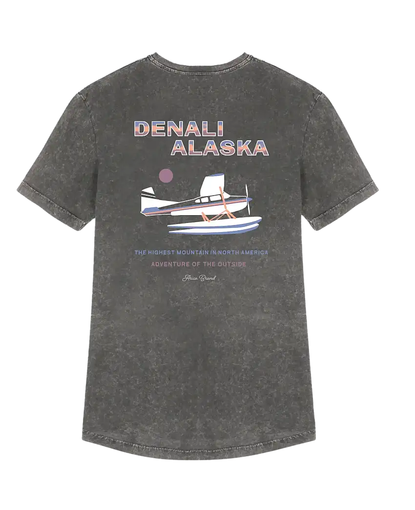 Camiseta ARICA Denali Grey